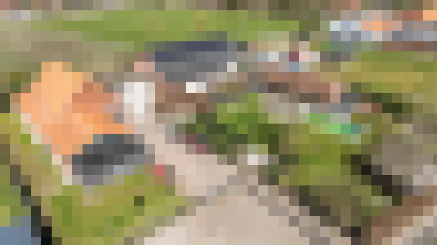Laarakkerdijk 45 Reusel thumbnail 68