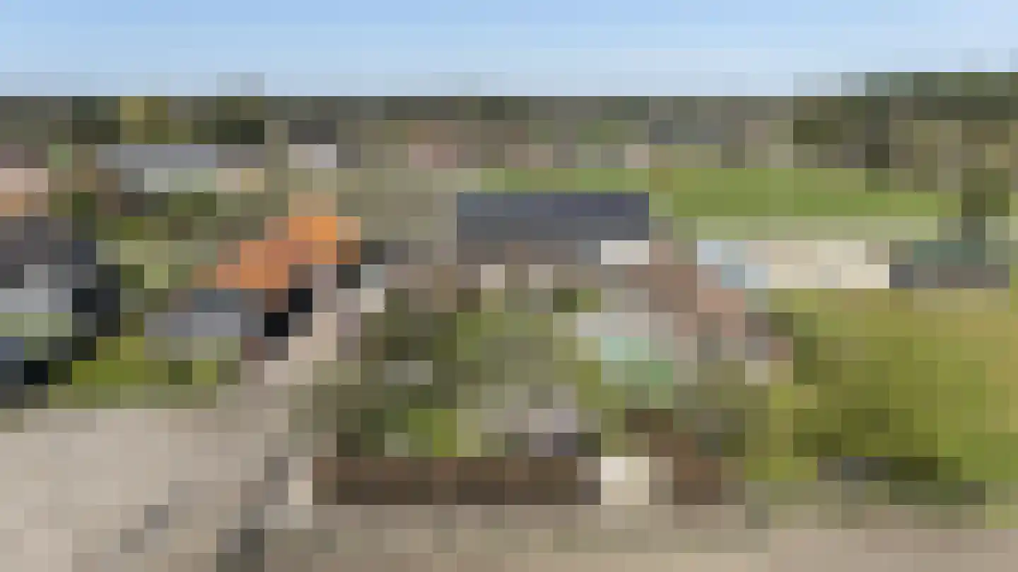 Laarakkerdijk 45 Reusel thumbnail 69