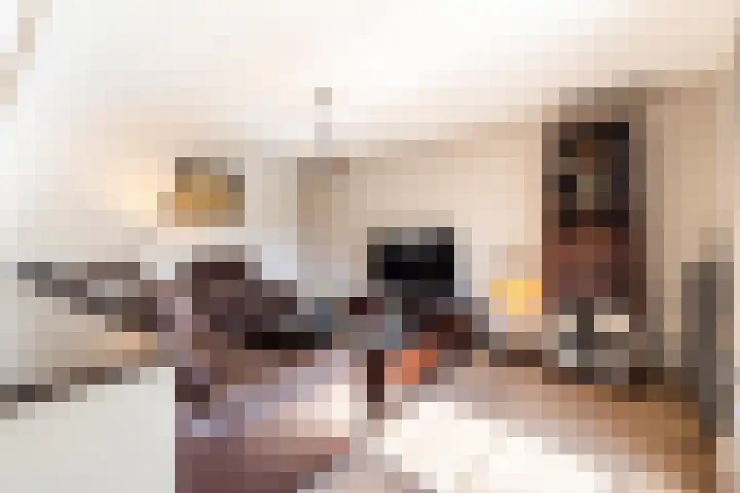 Laarakkerdijk 45 Reusel thumbnail 7