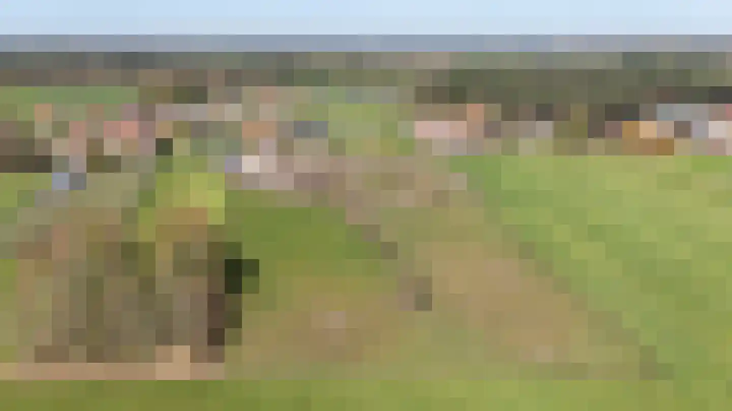 Laarakkerdijk 45 Reusel thumbnail 71