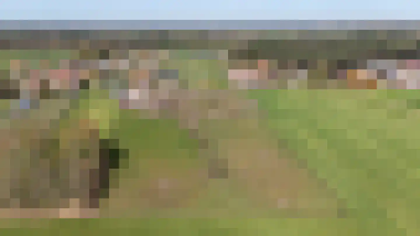 Laarakkerdijk 45 Reusel thumbnail 72