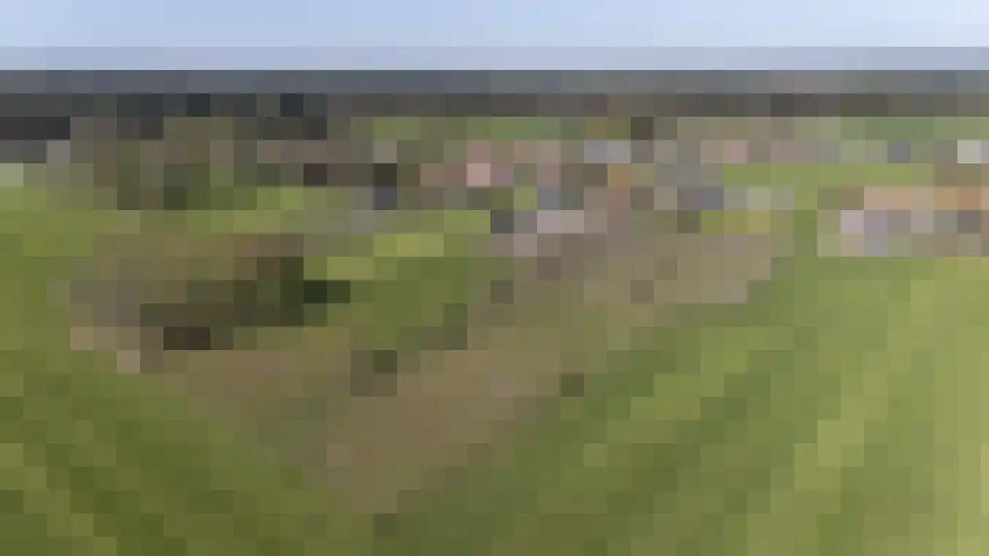 Laarakkerdijk 45 Reusel thumbnail 73