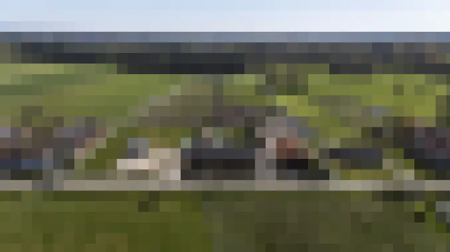 Laarakkerdijk 45 Reusel thumbnail 76