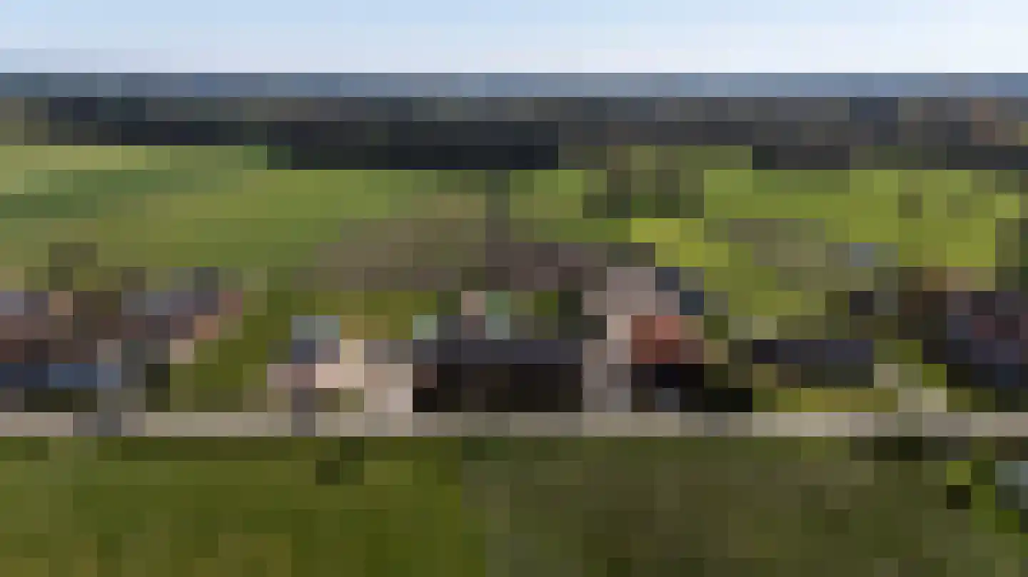 Laarakkerdijk 45 Reusel thumbnail 77