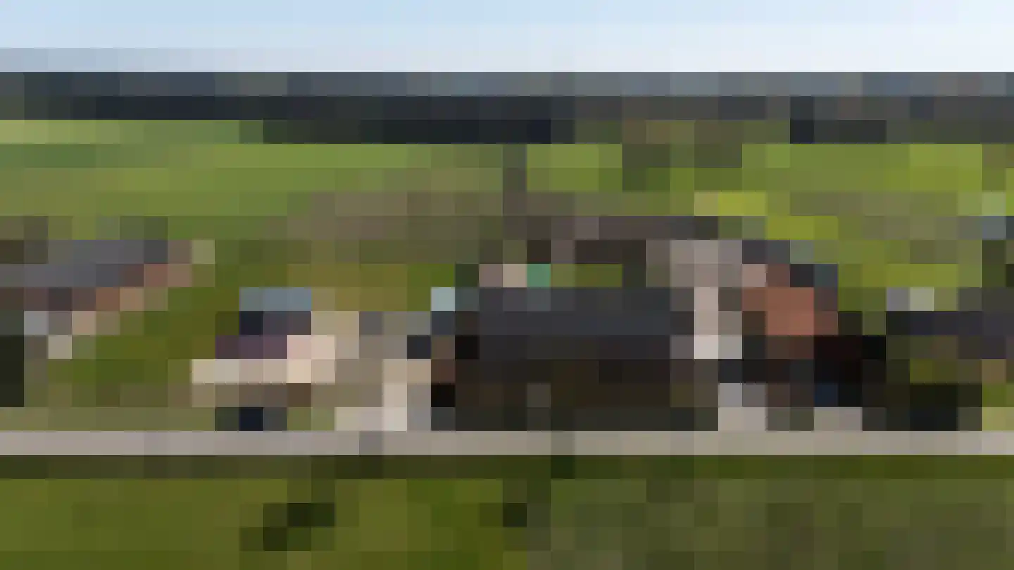 Laarakkerdijk 45 Reusel thumbnail 78