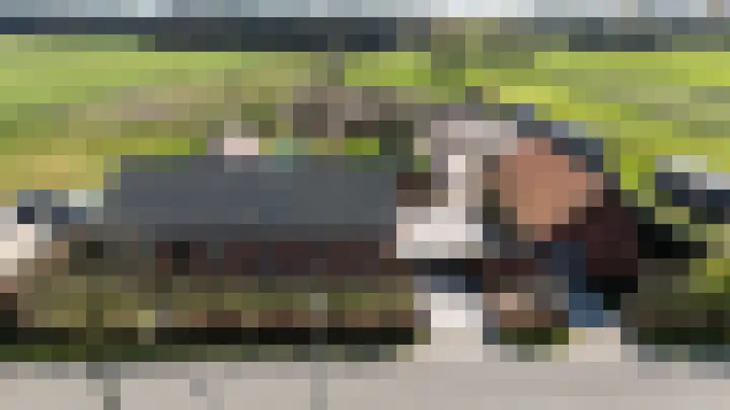 Laarakkerdijk 45 Reusel thumbnail 79