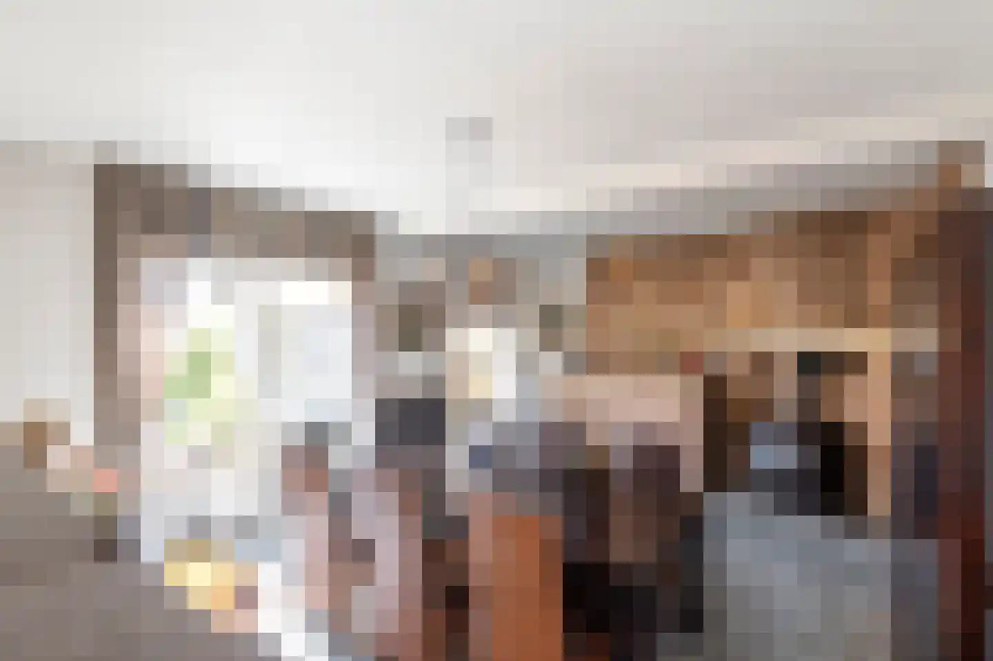 Laarakkerdijk 45 Reusel thumbnail 8