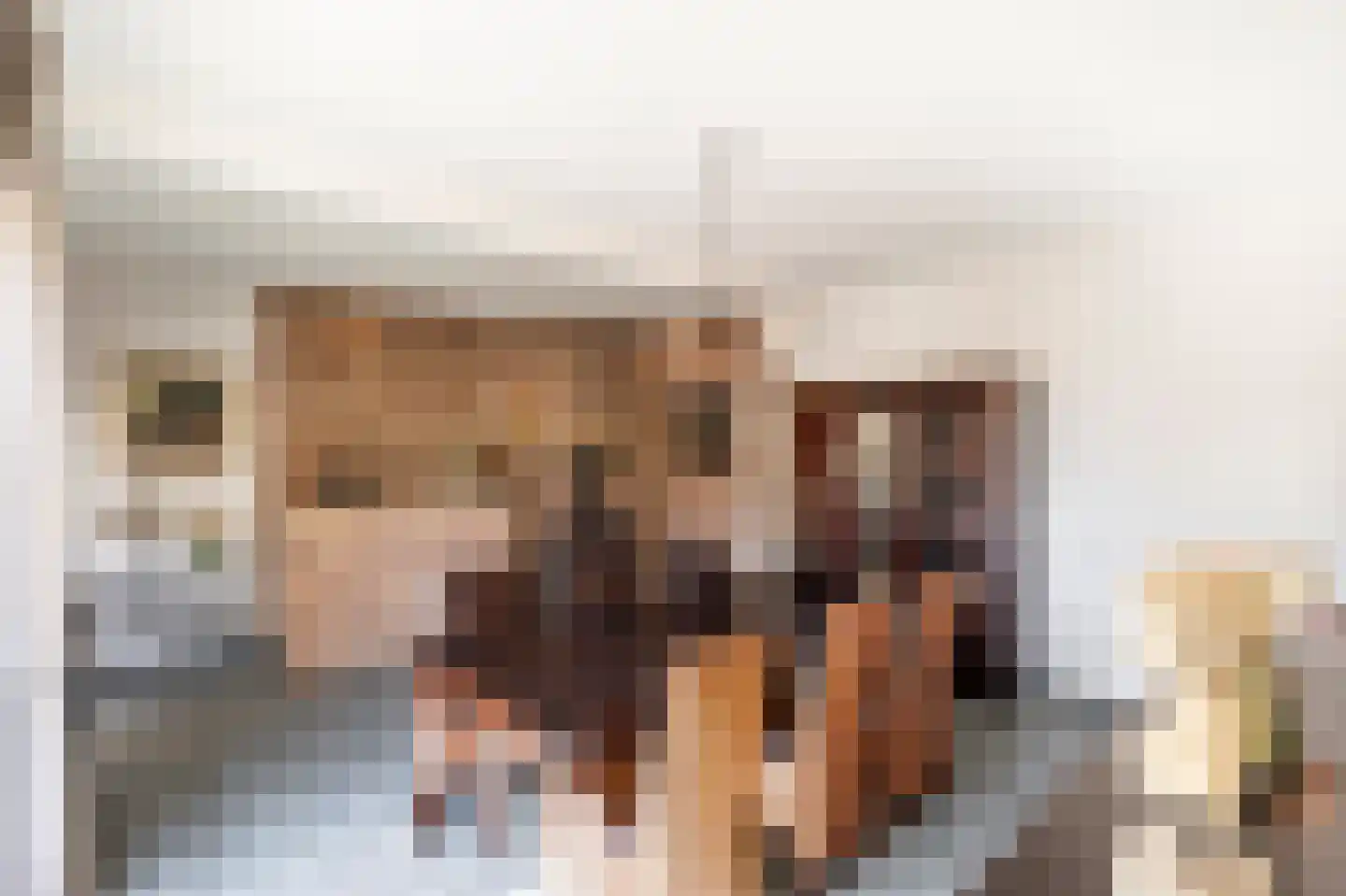 Laarakkerdijk 45 Reusel thumbnail 9