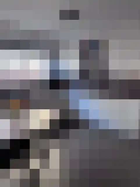 Laarakkerdijk 52 Reusel thumbnail 10