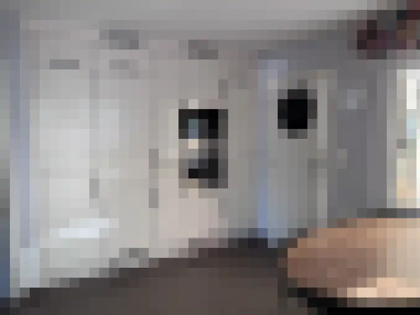 Laarakkerdijk 52 Reusel thumbnail 11