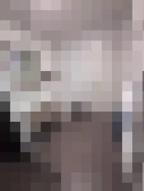 Laarakkerdijk 52 Reusel thumbnail 15