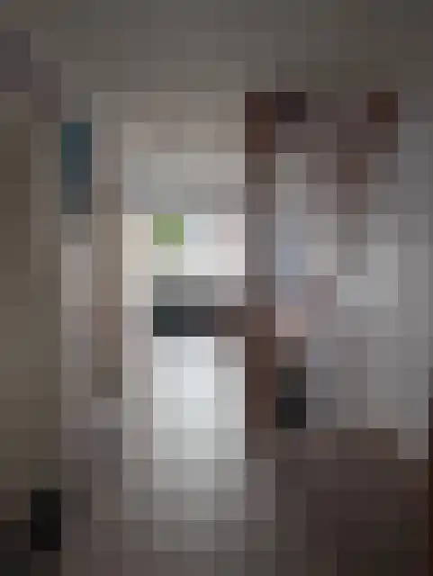 Laarakkerdijk 52 Reusel thumbnail 17