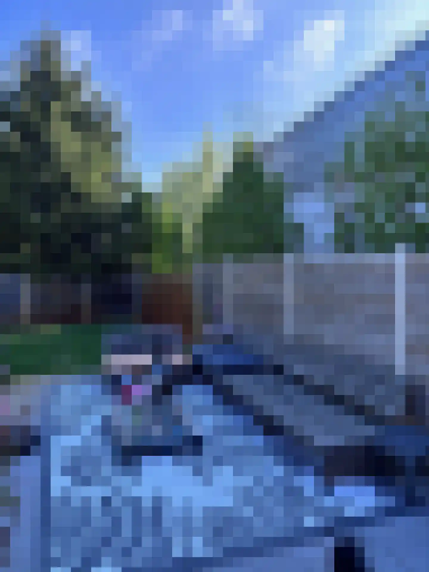 Laarakkerdijk 52 Reusel thumbnail 30
