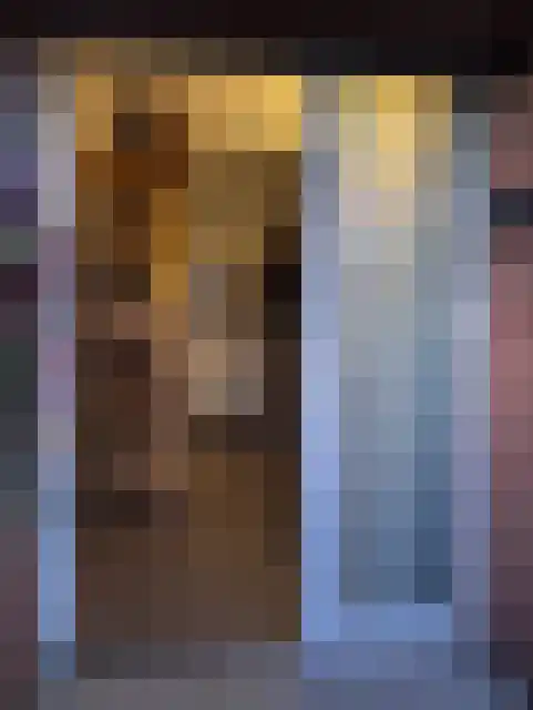 Laarakkerdijk 52 Reusel thumbnail 5