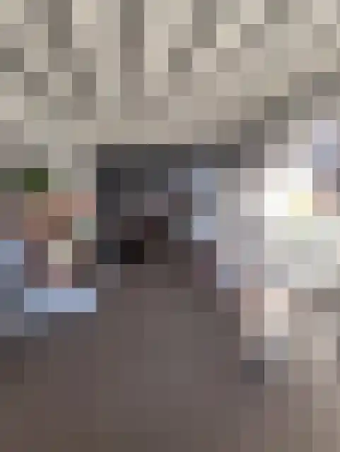Laarakkerdijk 52 Reusel thumbnail 6