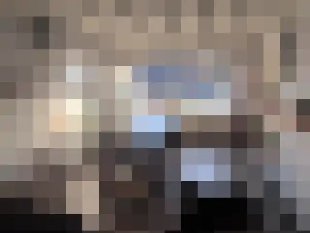 Laarakkerdijk 52 Reusel thumbnail 7