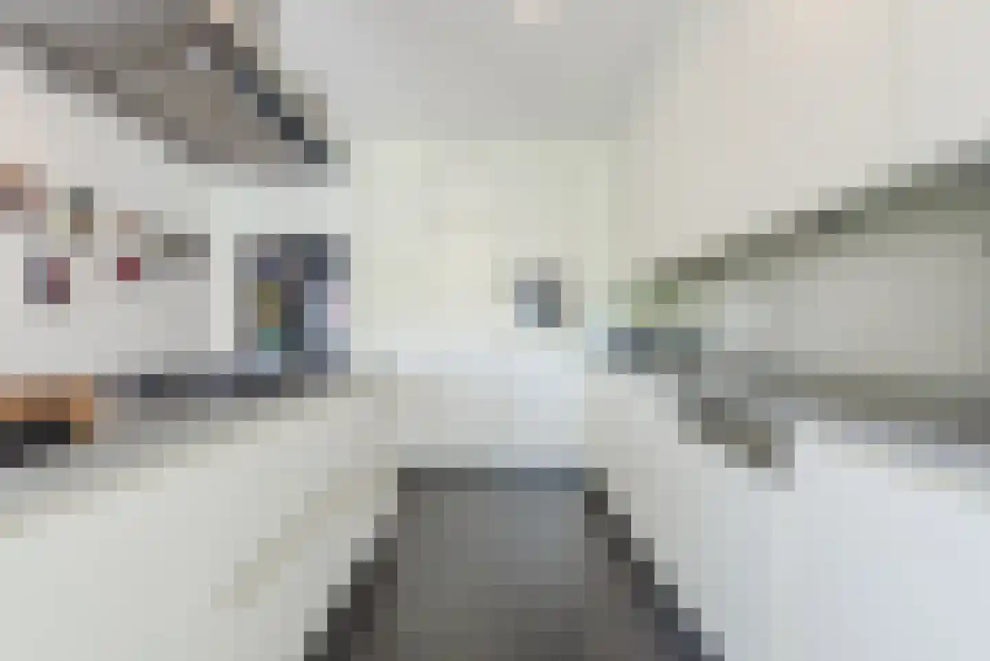 Laarakkerdijk 54 Reusel thumbnail 10