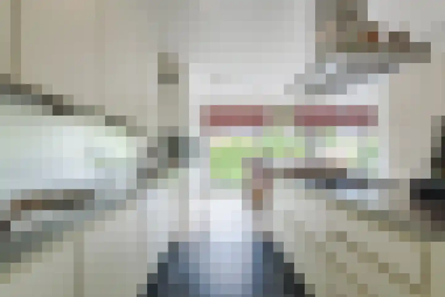 Laarakkerdijk 54 Reusel thumbnail 11