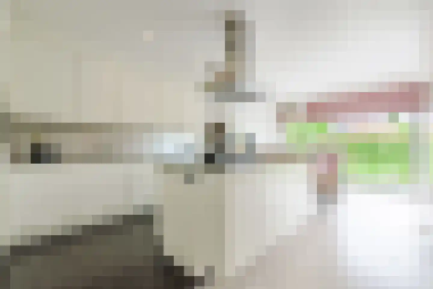 Laarakkerdijk 54 Reusel thumbnail 12
