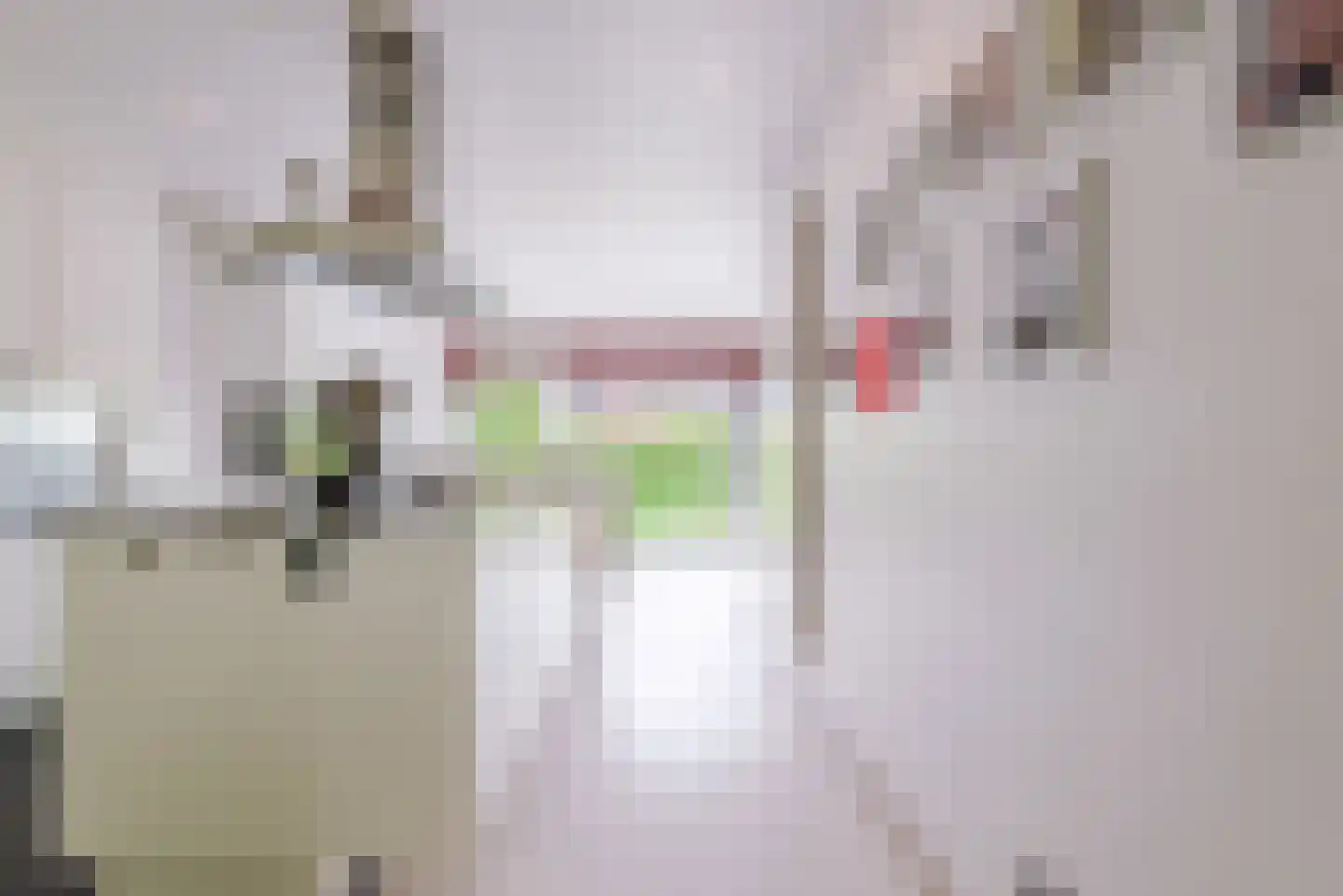 Laarakkerdijk 54 Reusel thumbnail 13