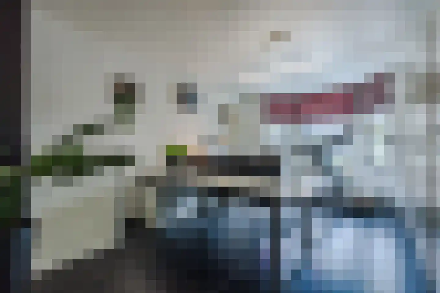 Laarakkerdijk 54 Reusel thumbnail 16
