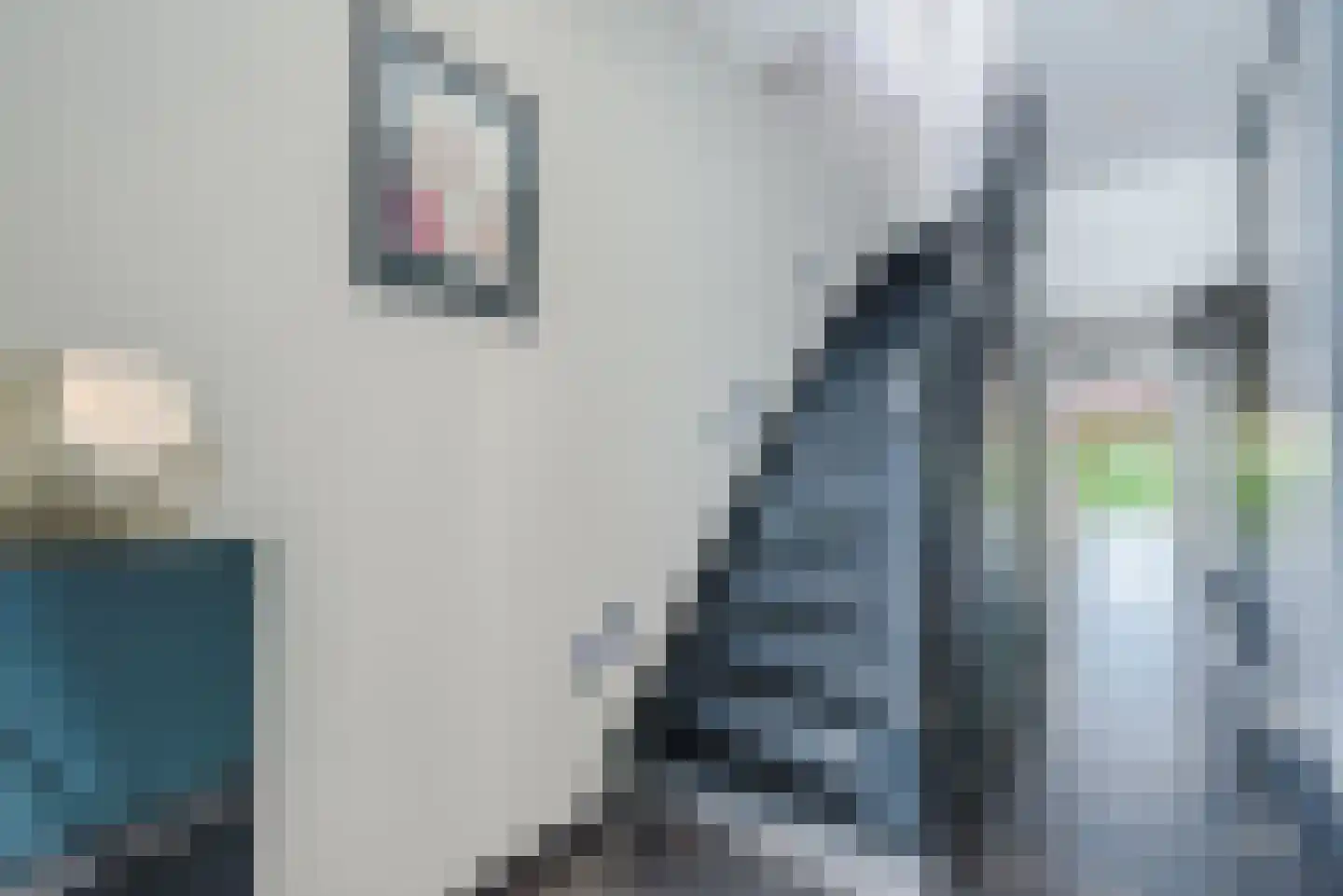Laarakkerdijk 54 Reusel thumbnail 18