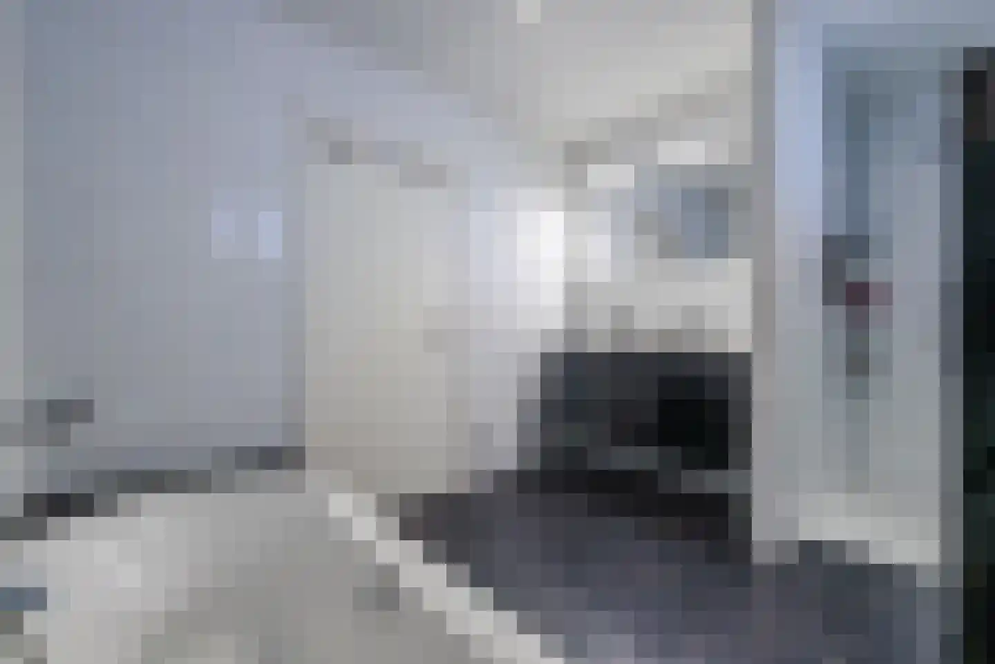 Laarakkerdijk 54 Reusel thumbnail 24