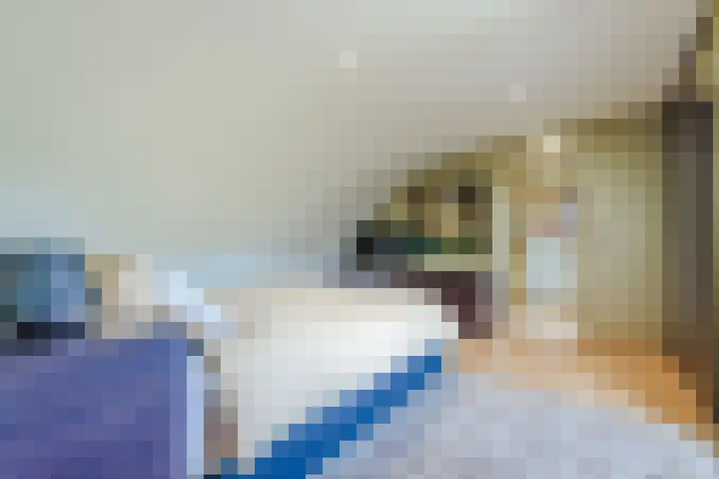 Laarakkerdijk 54 Reusel thumbnail 26