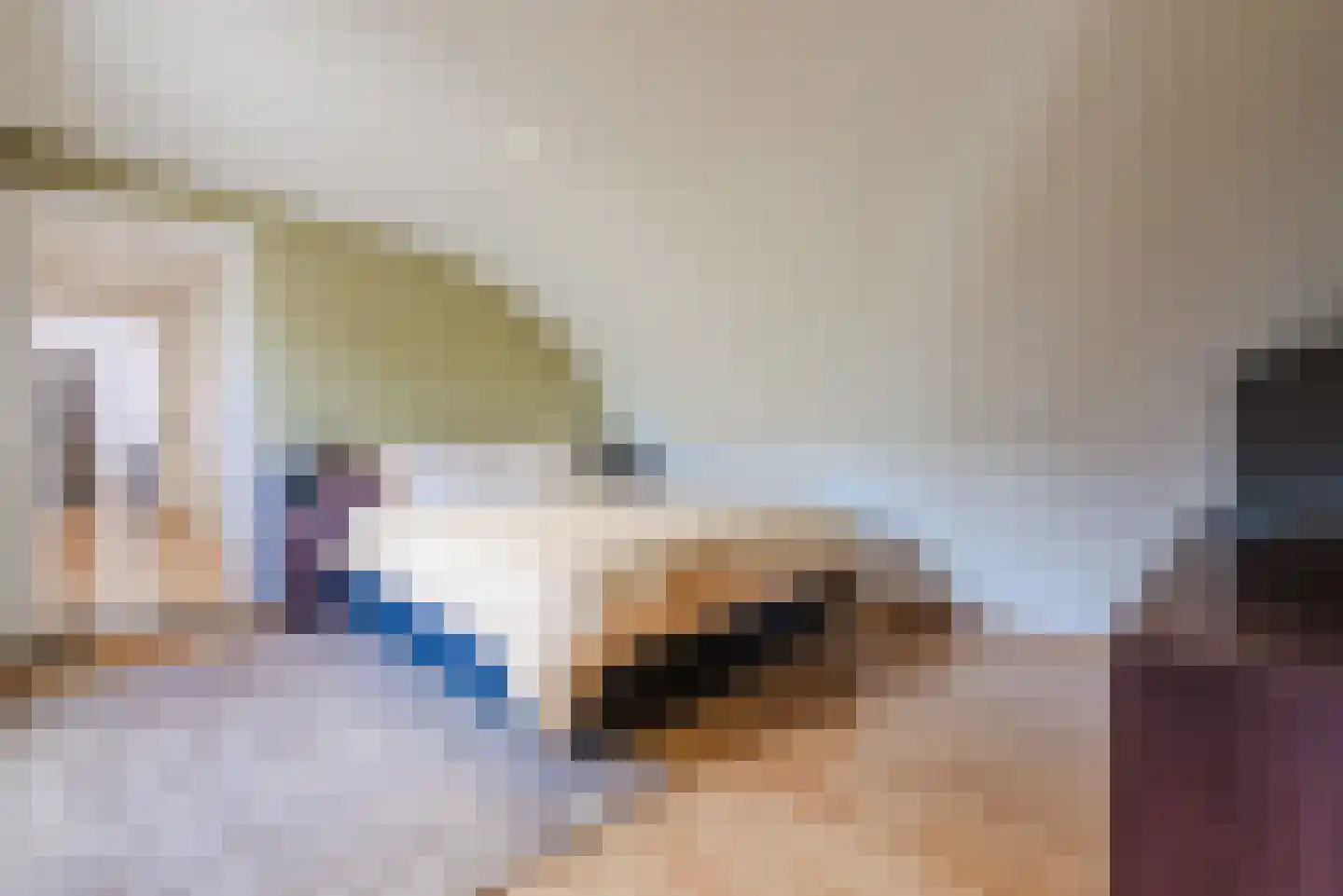 Laarakkerdijk 54 Reusel thumbnail 27