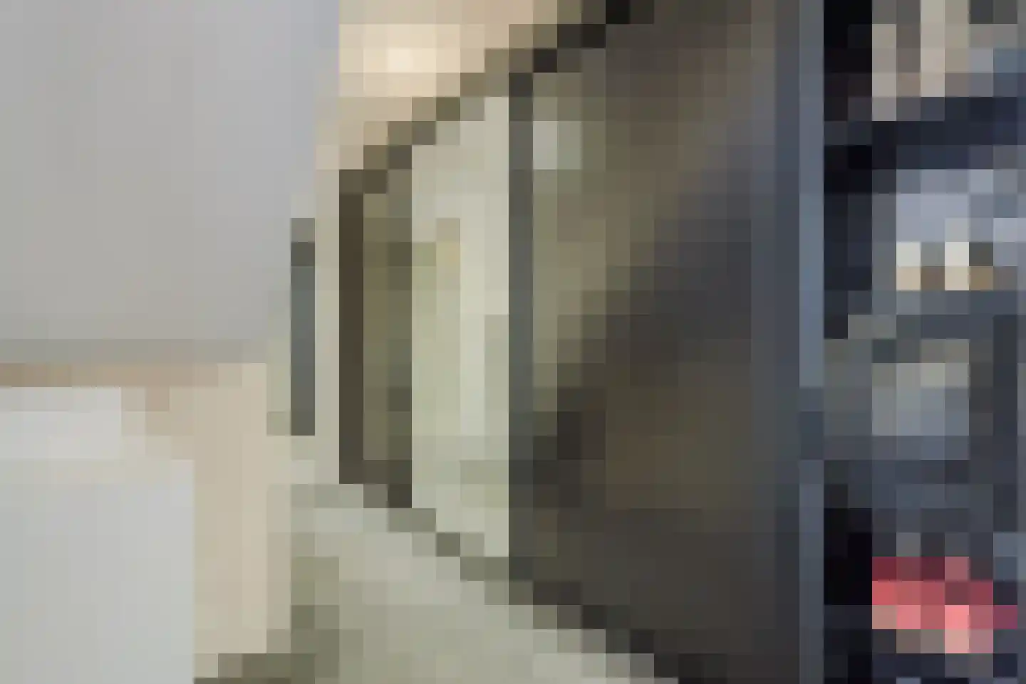 Laarakkerdijk 54 Reusel thumbnail 37