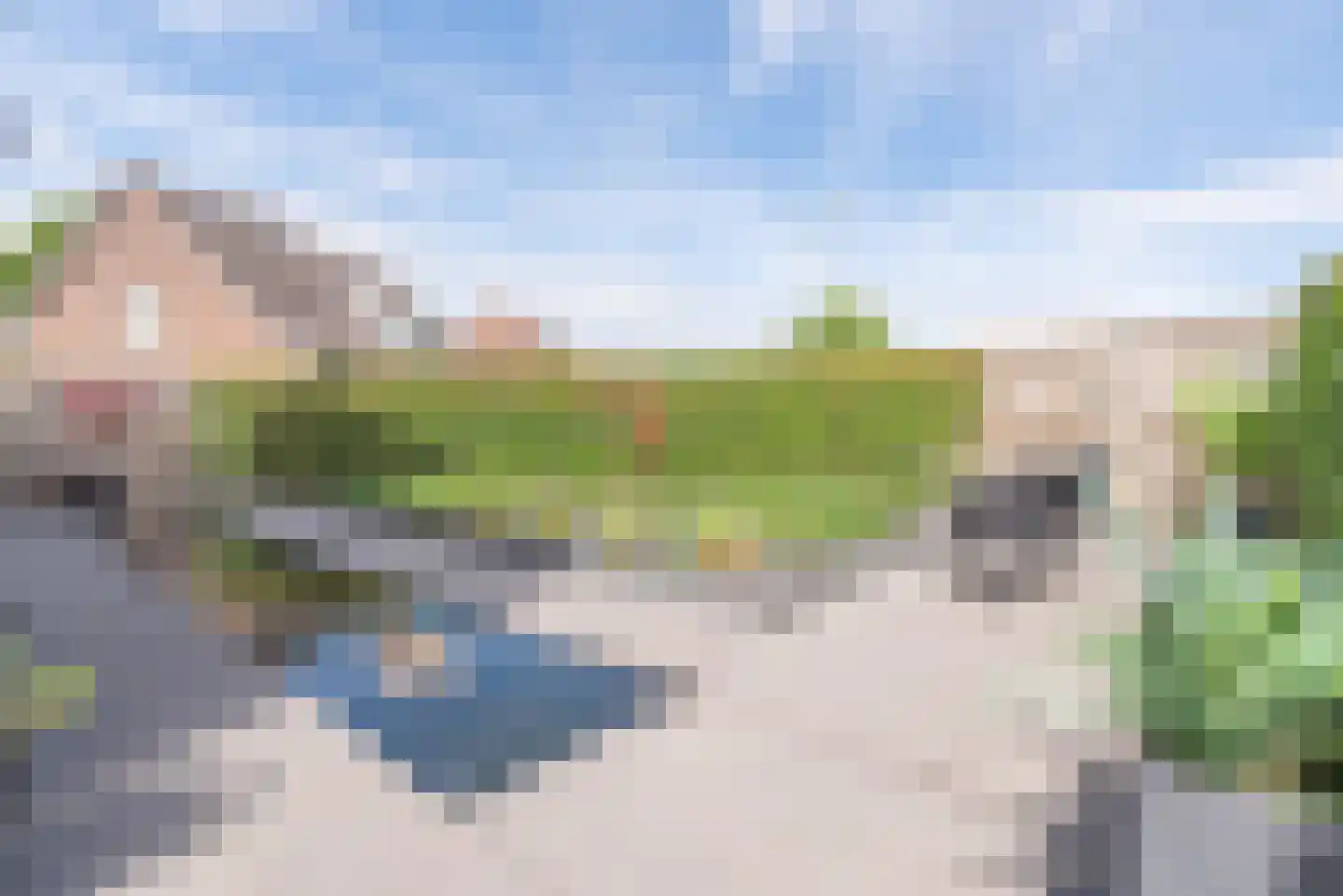 Laarakkerdijk 54 Reusel thumbnail 38