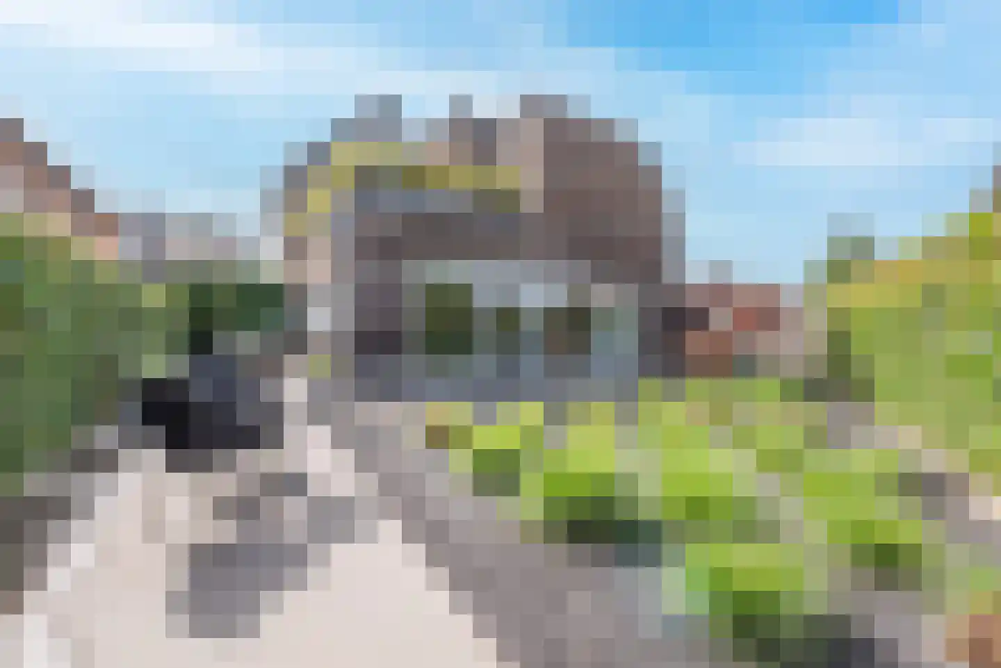 Laarakkerdijk 54 Reusel thumbnail 39