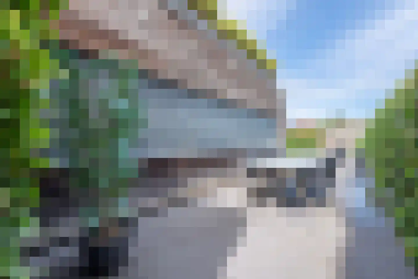 Laarakkerdijk 54 Reusel thumbnail 45
