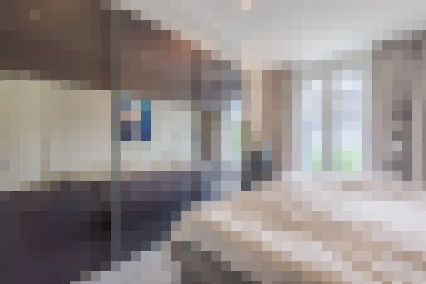 Laarakkerdijk 54 Reusel thumbnail 47