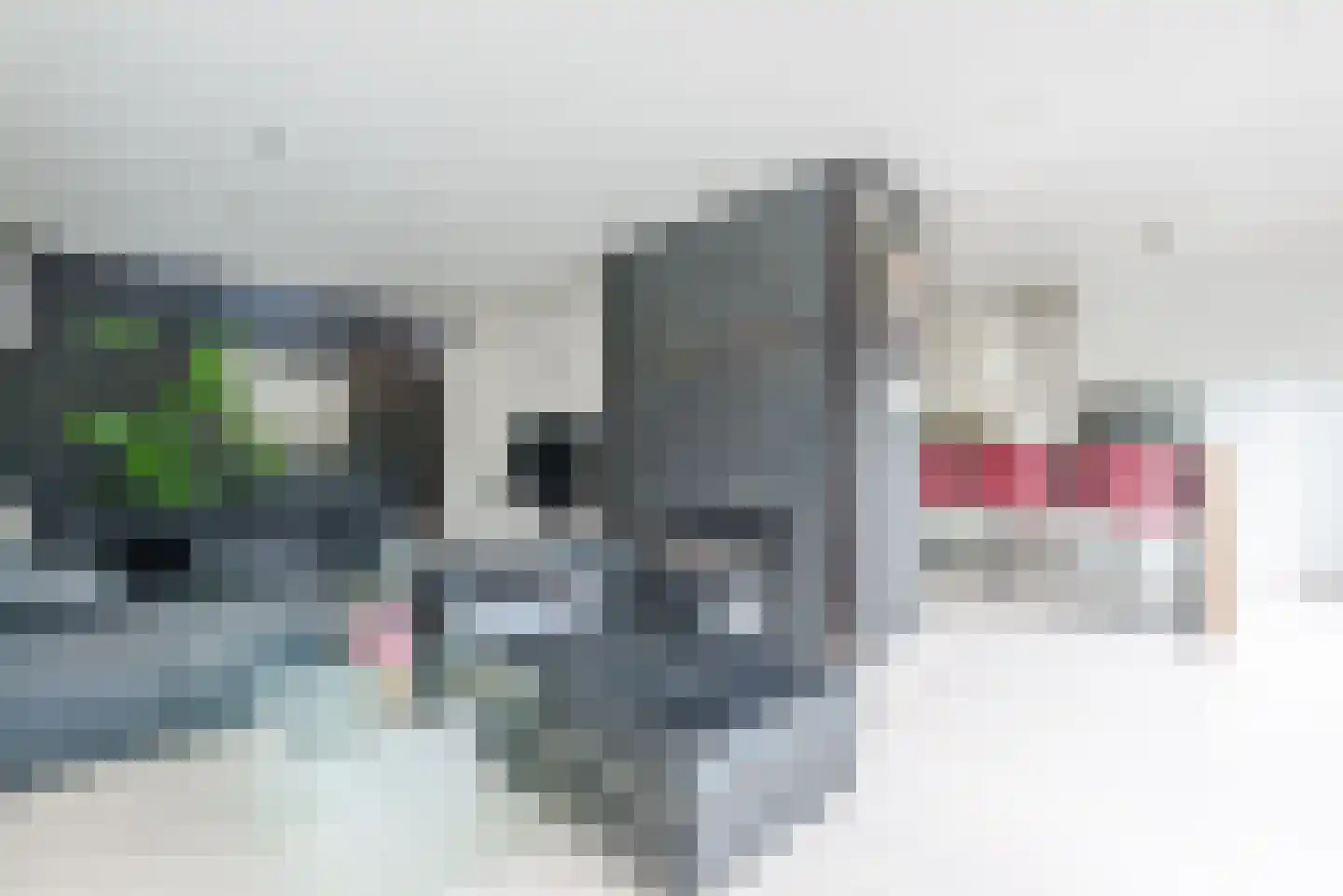 Laarakkerdijk 54 Reusel thumbnail 7