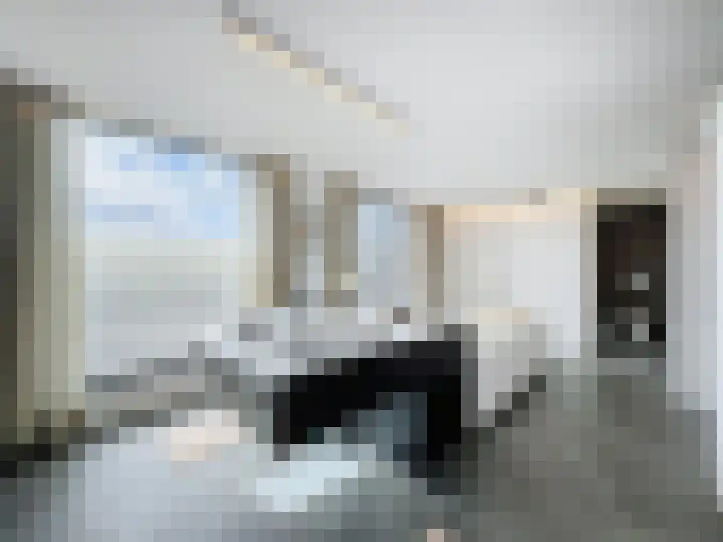 Laarakkerdijk 6 Reusel thumbnail 13