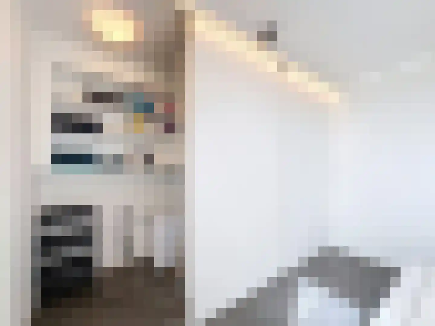 Laarakkerdijk 6 Reusel thumbnail 15