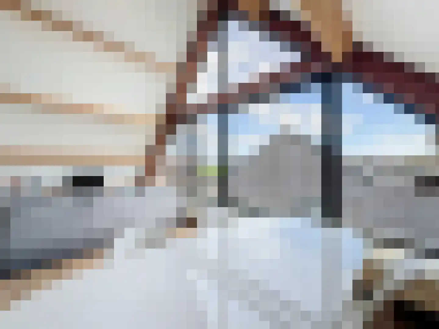 Laarakkerdijk 6 Reusel thumbnail 19