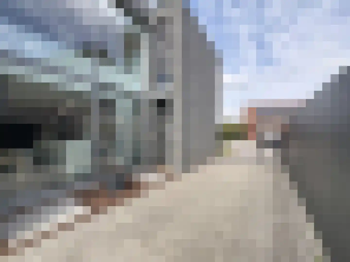 Laarakkerdijk 6 Reusel thumbnail 22