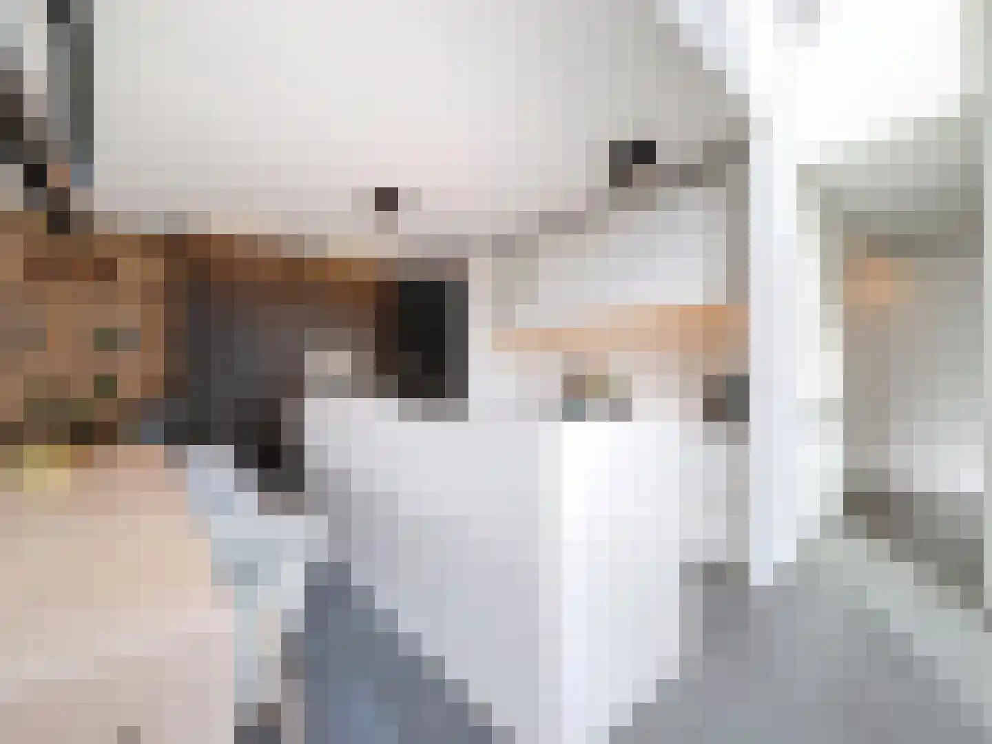 Laarakkerdijk 6 Reusel thumbnail 5