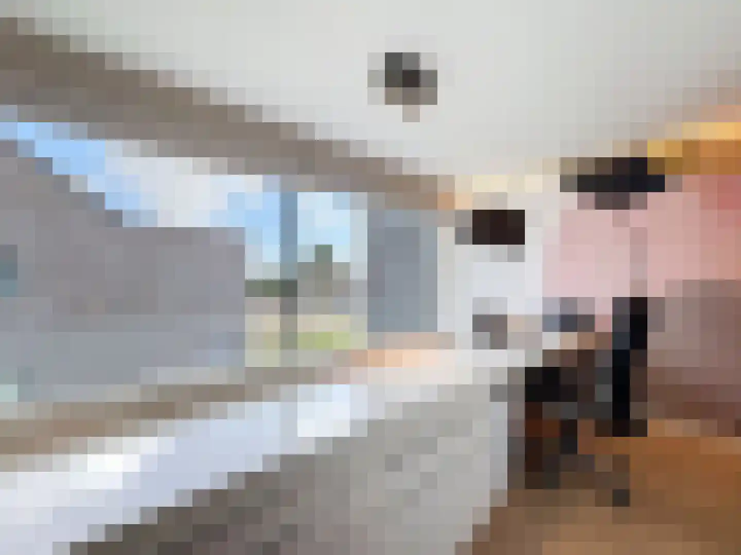 Laarakkerdijk 6 Reusel thumbnail 9