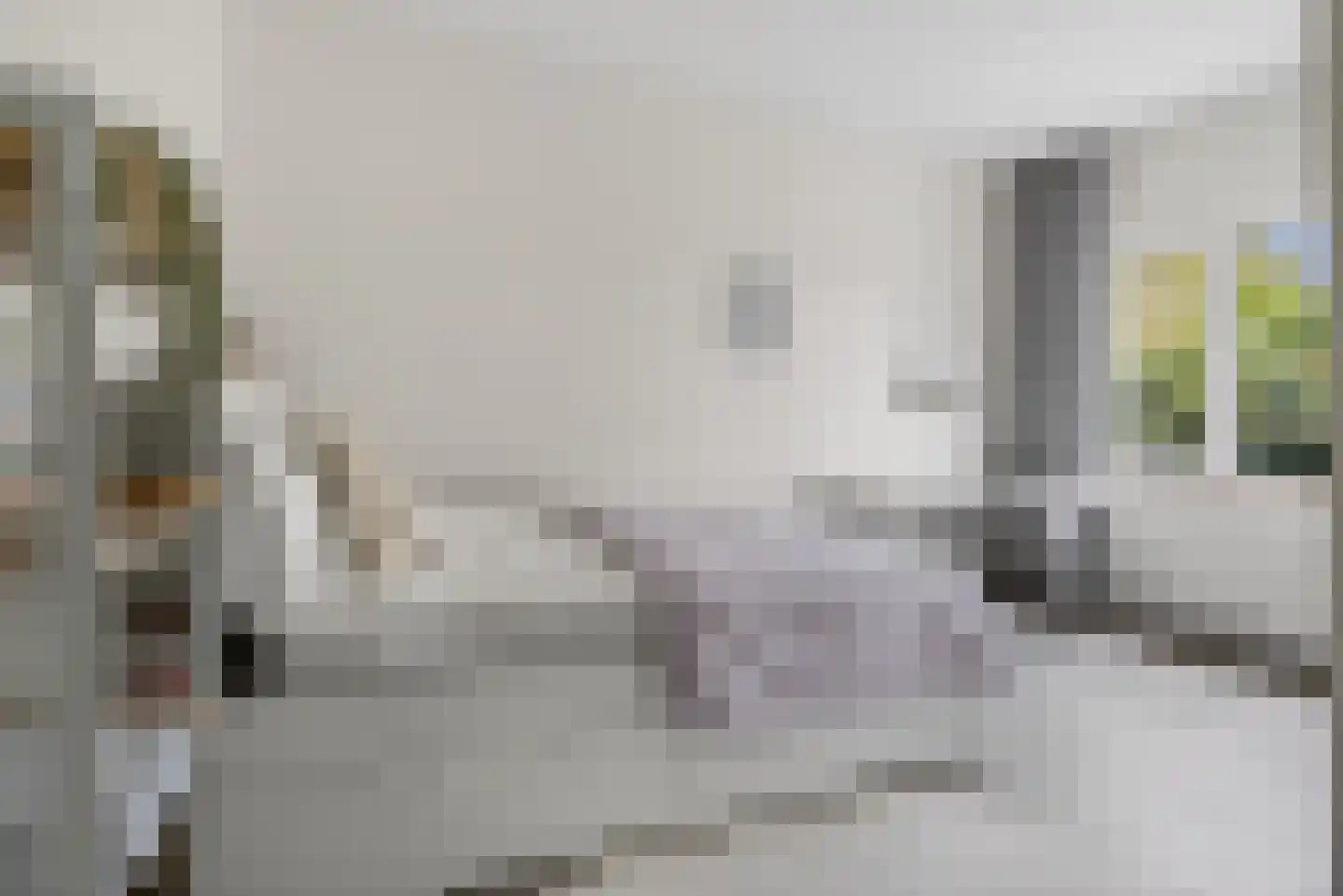 Laarakkerdijk 68 Reusel thumbnail 16