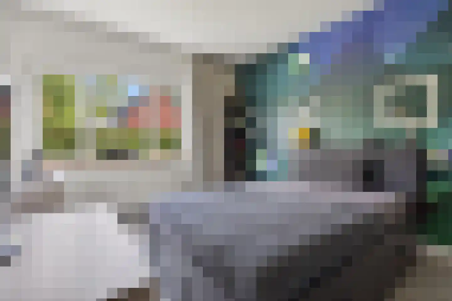 Laarakkerdijk 68 Reusel thumbnail 18