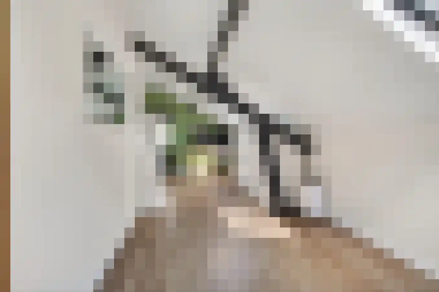 Laarakkerdijk 68 Reusel thumbnail 20