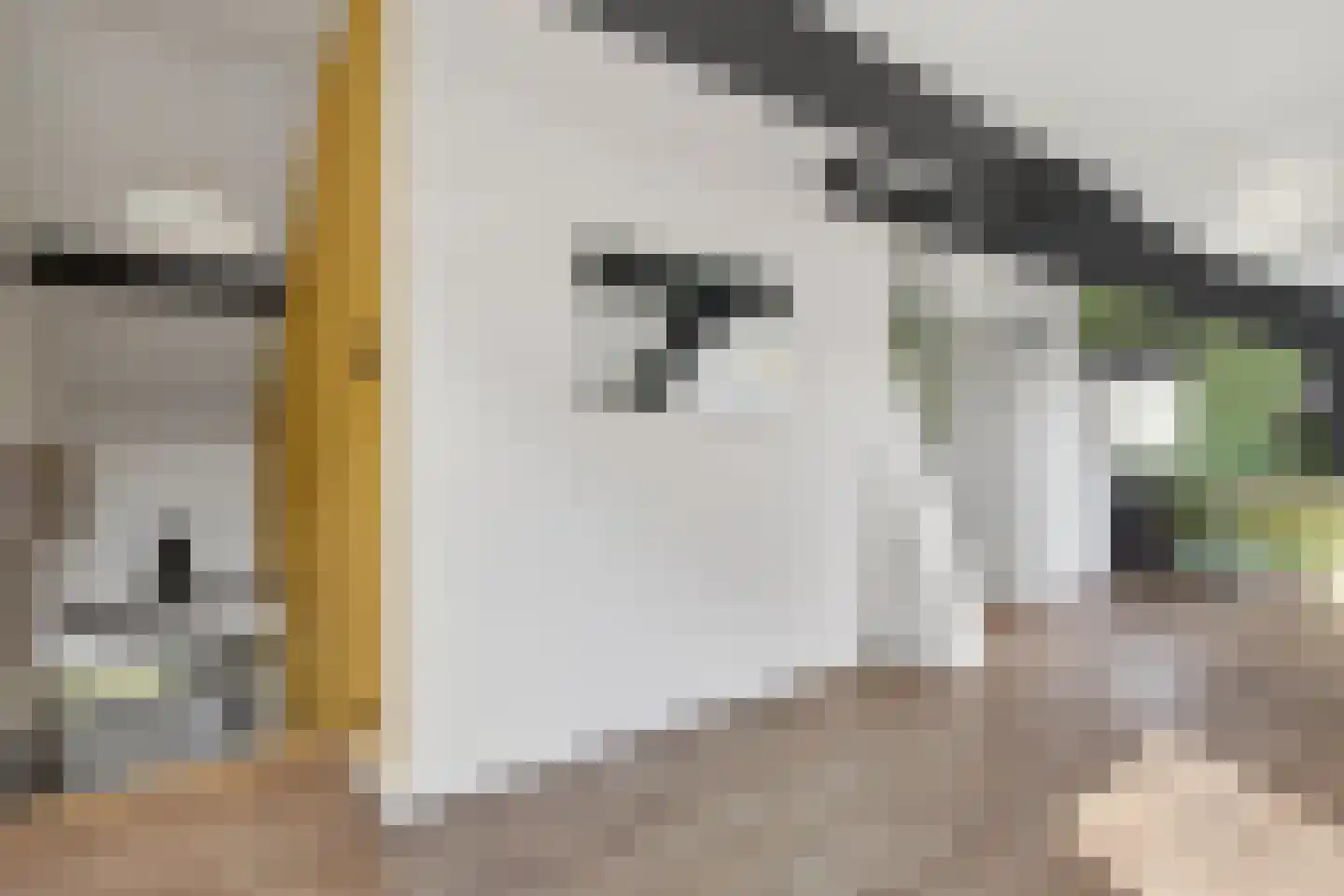 Laarakkerdijk 68 Reusel thumbnail 21
