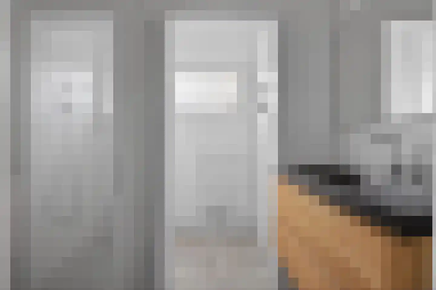 Laarakkerdijk 68 Reusel thumbnail 24
