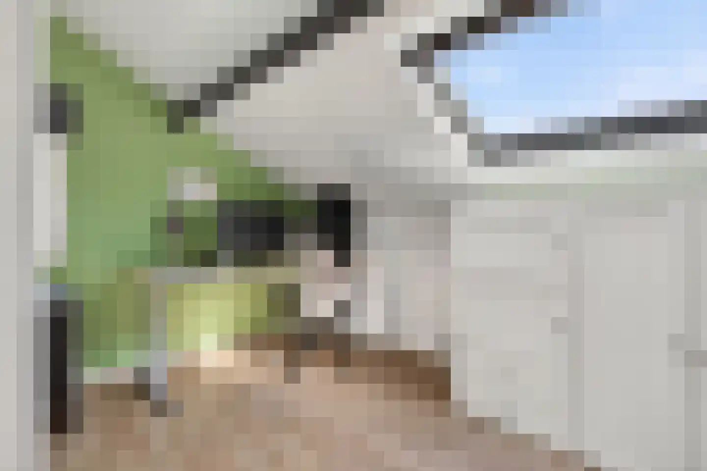 Laarakkerdijk 68 Reusel thumbnail 27