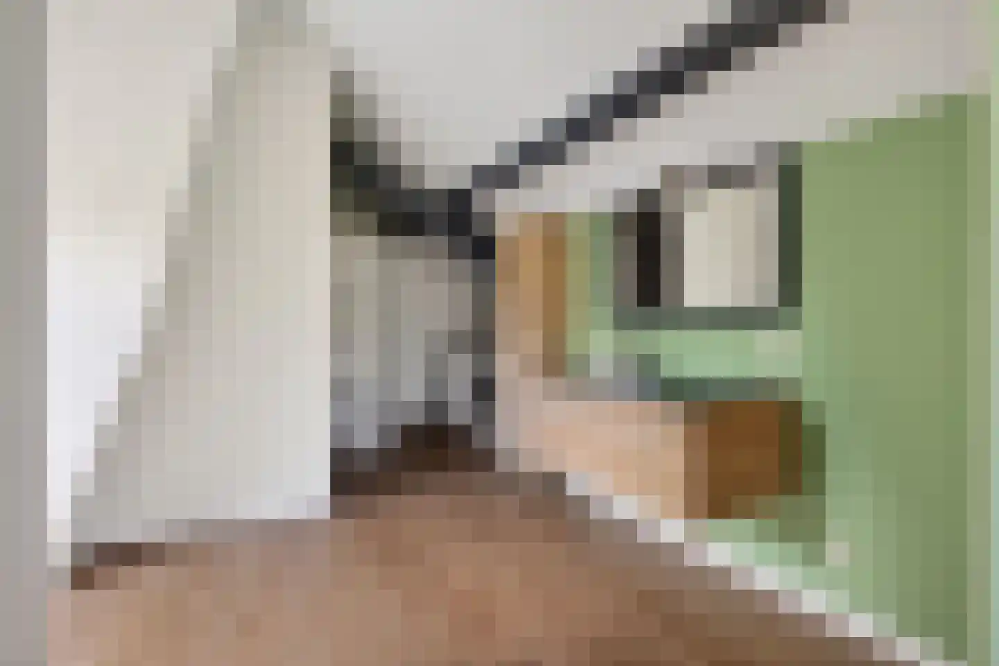 Laarakkerdijk 68 Reusel thumbnail 28
