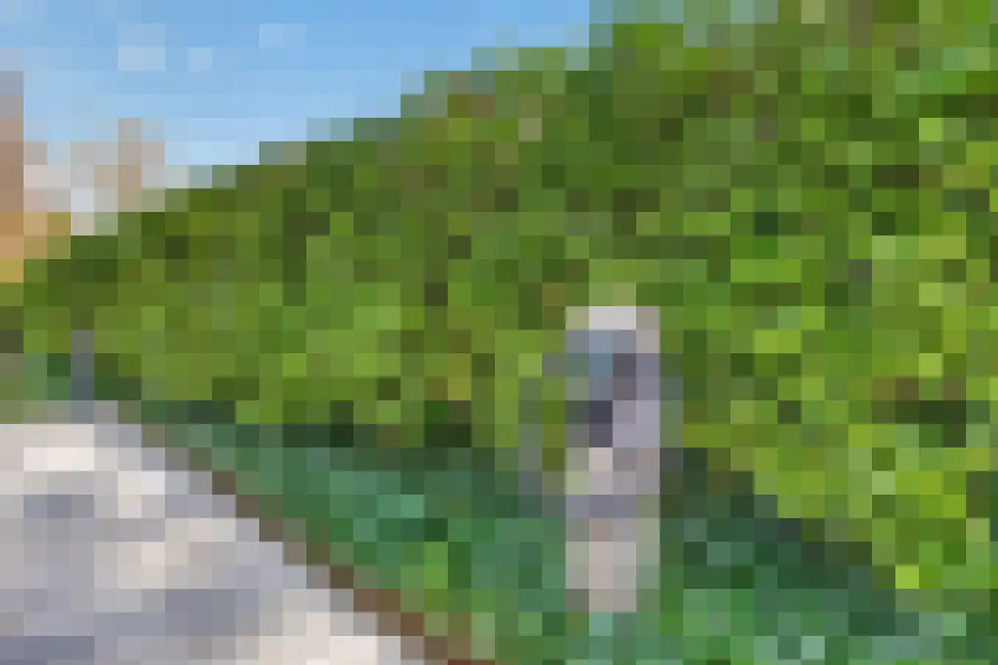 Laarakkerdijk 68 Reusel thumbnail 30