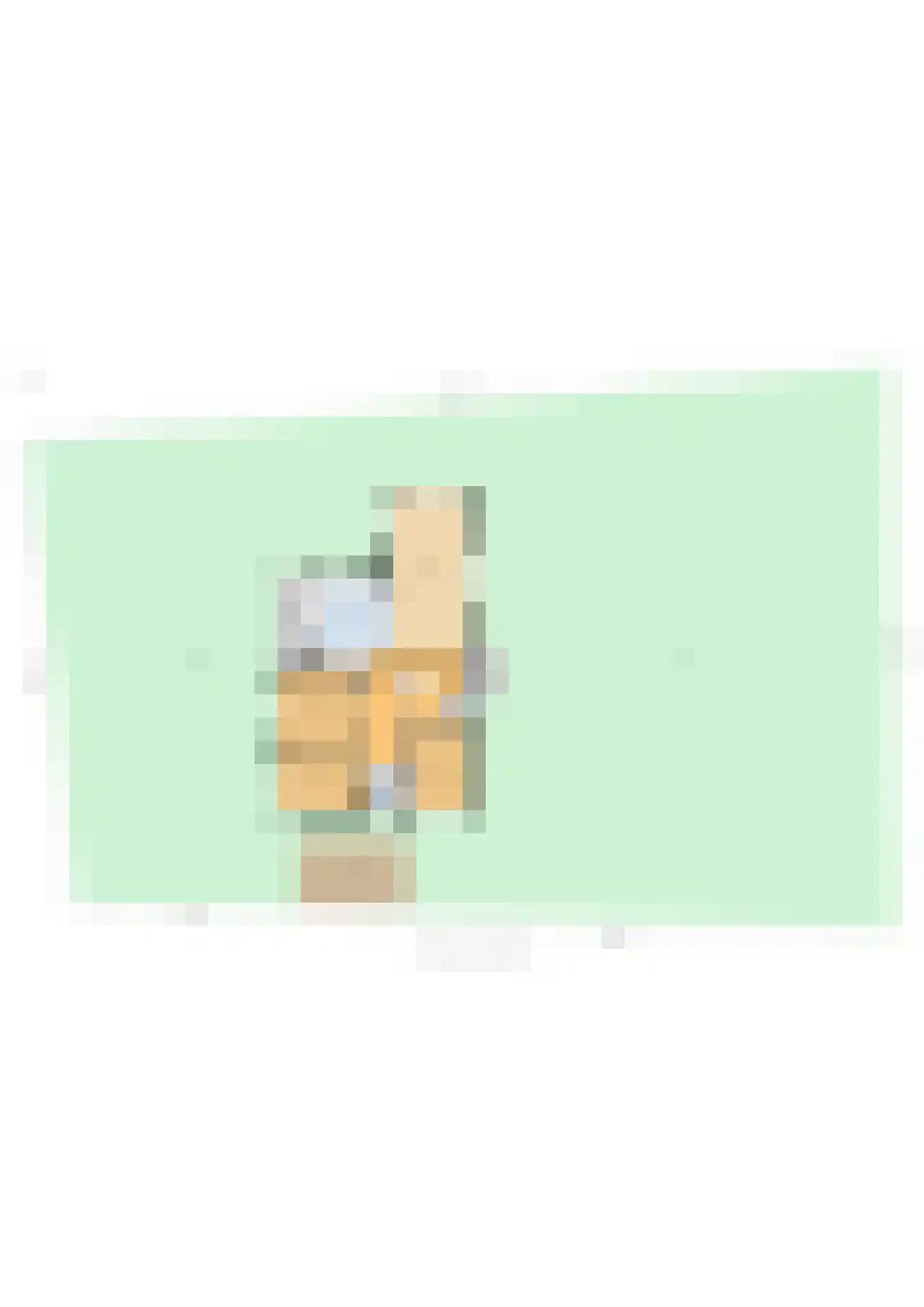Laarakkerdijk 68 Reusel thumbnail 34